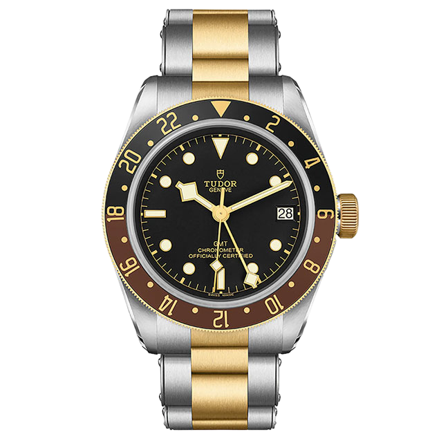 Tudor Black Bay